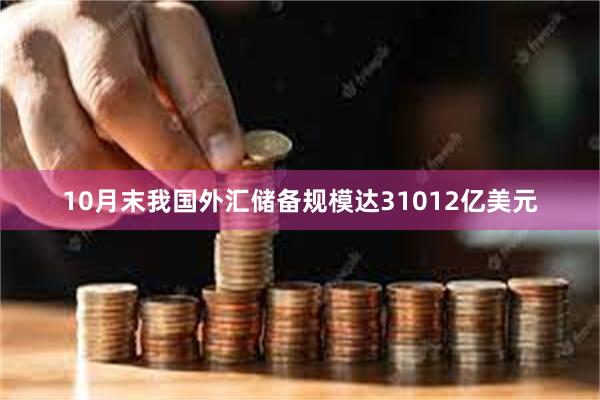 10月末我国外汇储备规模达31012亿美元