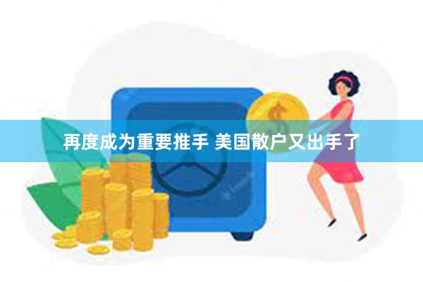 再度成为重要推手 美国散户又出手了