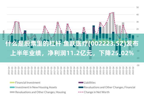 什么是股票里的杠杆 鱼跃医疗(002223.SZ)发布上半年业绩，净利润11.2亿元，下降25.02%