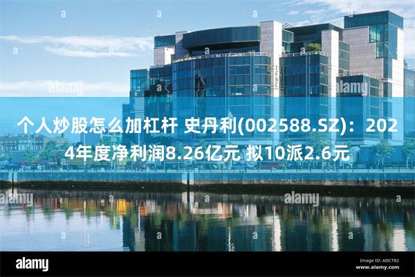 个人炒股怎么加杠杆 史丹利(002588.SZ)：2024年度净利润8.26亿元 拟10派2.6元