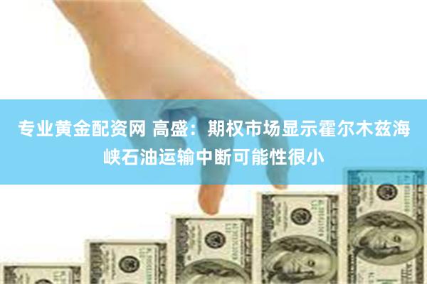 专业黄金配资网 高盛：期权市场显示霍尔木兹海峡石油运输中断可能性很小