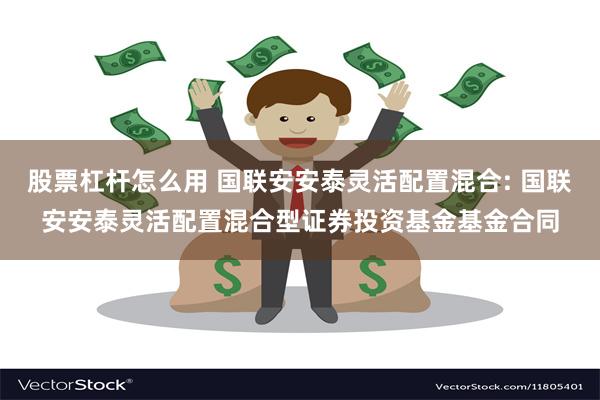 股票杠杆怎么用 国联安安泰灵活配置混合: 国联安安泰灵活配置混合型证券投资基金基金合同