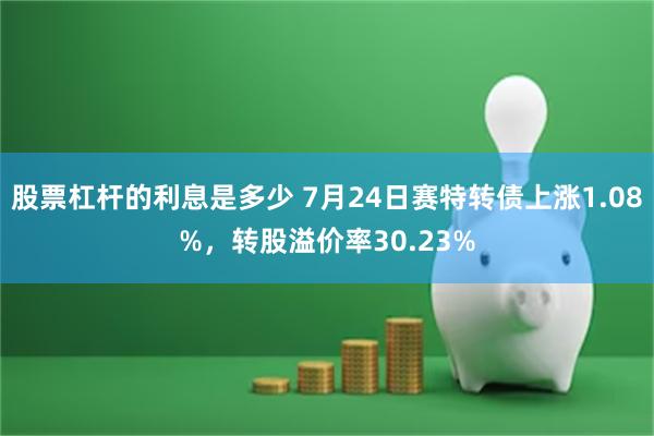 股票杠杆的利息是多少 7月24日赛特转债上涨1.08%，转股溢价率30.23%