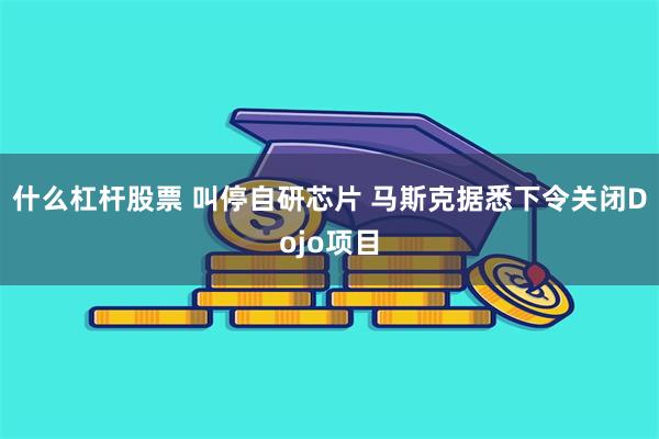 什么杠杆股票 叫停自研芯片 马斯克据悉下令关闭Dojo项目