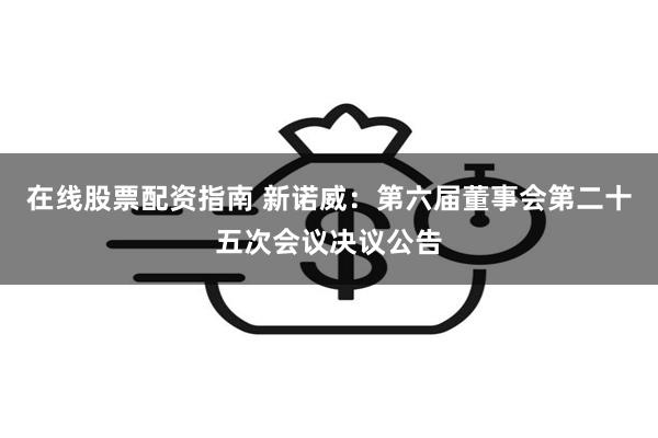在线股票配资指南 新诺威：第六届董事会第二十五次会议决议公告