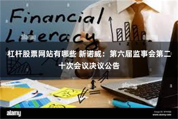杠杆股票网站有哪些 新诺威：第六届监事会第二十次会议决议公告